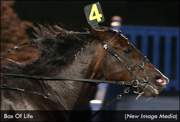 Bax Machine Progeny Keep Her Legacy Alive