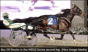 Bay Of Sharks Repeats In WEGZ Series