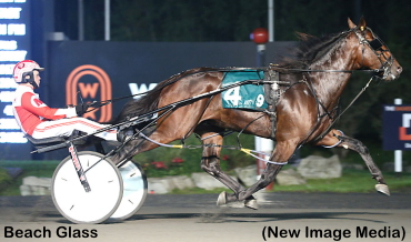 Crown Next For Beach Glass?