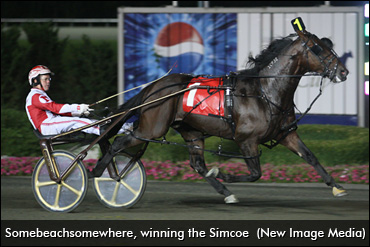 'Beach' Memories: Sick In The Simcoe