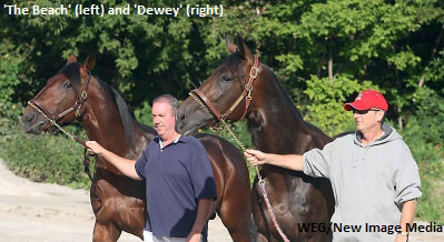 Dan Patch Award Winners Announced