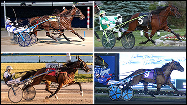 The Mare With The Golden Eggs