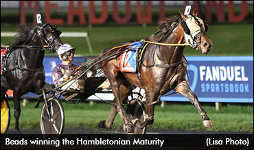 Norwegian Negotiations For Beads