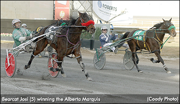 Bearcat Josi Jets In Marquis