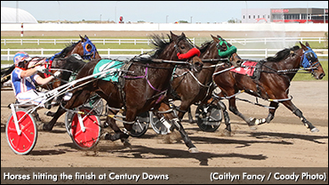 Century Downs Set To Return