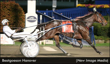 'Beatgoeson' Tops Harrisburg Sale