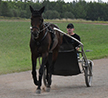  Ideal Perception Puts Family & Friends In Focus At The Gold Cup & Saucer