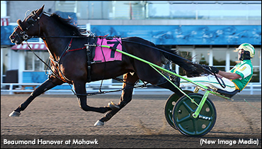 Top Colts Primed For Gold Showdown