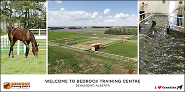 Last Call: Jog A Standardbred At Bedrock