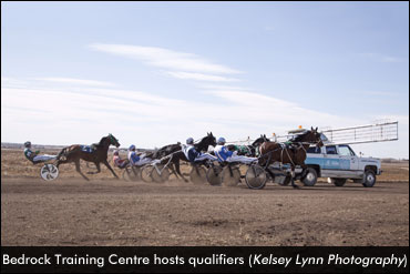 Horses Ready For Century Downs