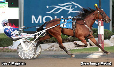 Majestized In An OSS Shocker; Bee A Magician Smashes Canadian Record