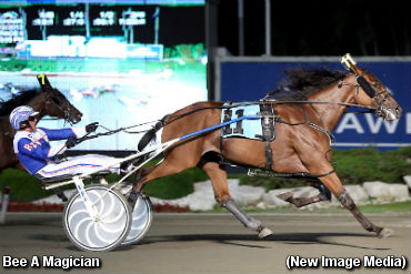 Superstars Reign Supreme In Simcoe
