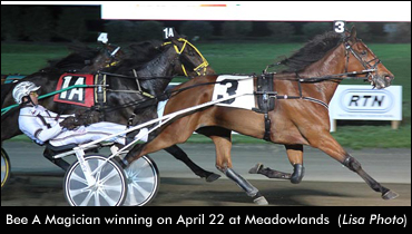 Bee A Magician Triumphs In Debut
