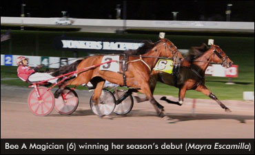 Opens To Past Horses Of The Year