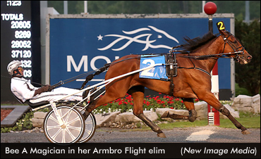 Canadian Records In Eliminations