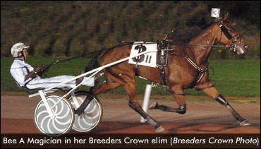 Fields Set For Breeders Crown Night