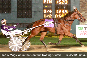 Bee A Magician Captures 'Centaur'