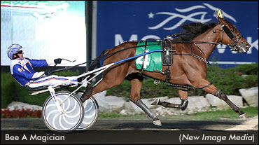 Bee A Magician Equals Canadian Record