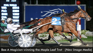 Bee A Magician Wins Maple Leaf Trot; Pinkman Takes Trotting Classic