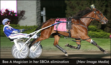 Bee A Magician Returns In SBOA Elims