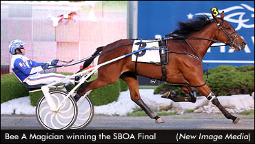 Elimination Mania At Mohawk