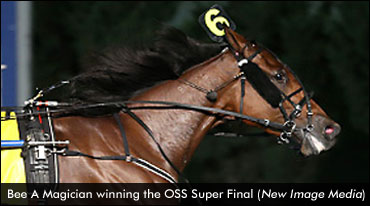 2013 SBOA Awards Presented