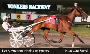 Two Confirmed For International Trot