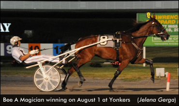 Bee A Magician Lowers Yonkers Record