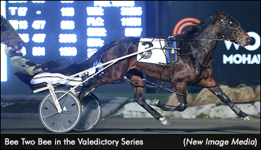 Favourites Shine In Valedictory Opener
