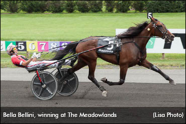 Bella Bellini Worth Price Of Admission