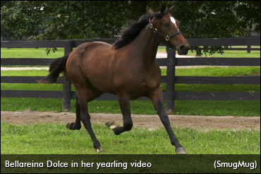 Freshmen, Stars Hit The Meadowlands