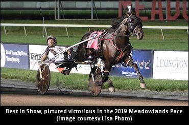 Toscano, Young On Best In Show