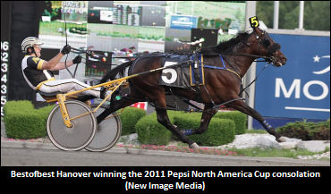 Blue-Blooded Colt Bids For Pace Win