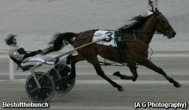 Bestofthebunch Wires Them Up