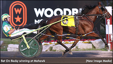 Bet On Becky Best In Gold