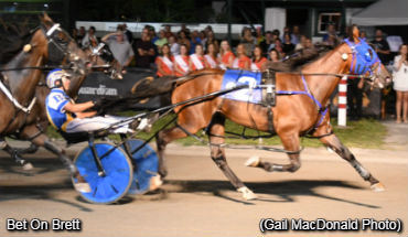 Bet On Brett Takes Saucer Trial 2