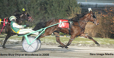 Ward Stable Fast Off The Gate