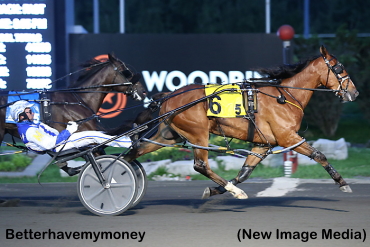 Colts Fly In Golds At Mohawk Park Colts Fly In Golds At Mohawk Park