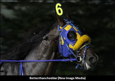 O'Brien Award Winners Square Off
