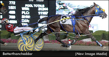 'Cheddar' Ready For His Return