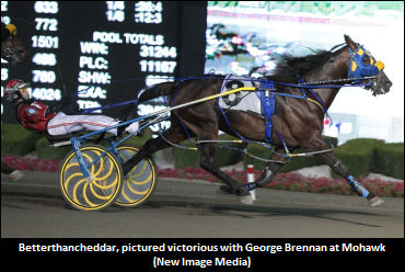 Next Steps For Betterthancheddar