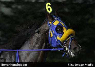 Betterthan​cheddar Heads To The Jug