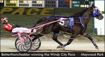 'Cheddar' Romps In 'Windy City'
