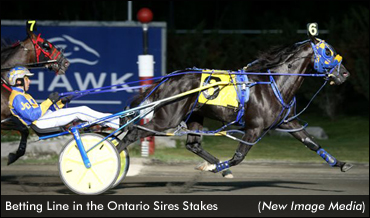 Betting Line Is Golden At Mohawk