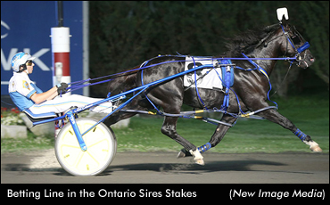 Freshmen Repeat In Gold Stakes