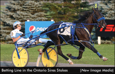 Gold Stakes & Series Finals At Mohawk