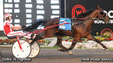 Rookies Impress In Gold Divisions