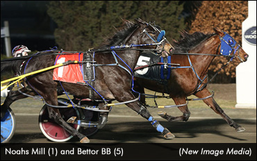 'Cup' Eligible Inherits First Victory