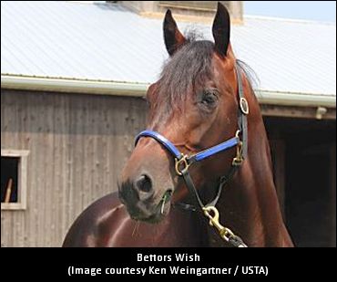 Loving The Bettors Wish Ride