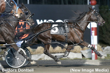 Series Finals Highlight Mohawk Card